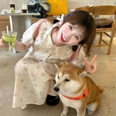 托米和灵猫