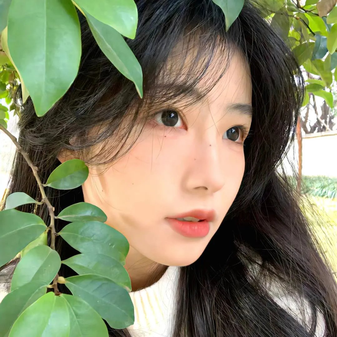白鬼子